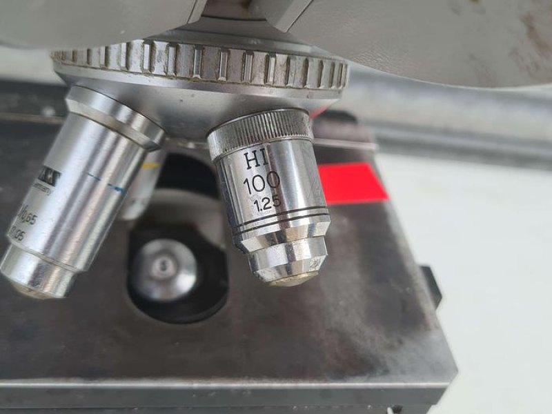 Zeiss Standard 15 Microscope