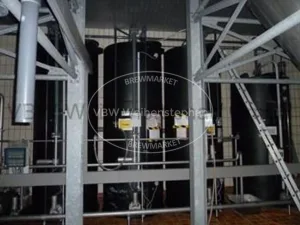 Cleaning in place (CIP)-unit