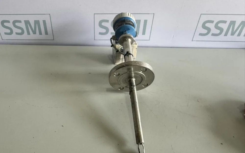2020 Endress+Hauser Level Switch