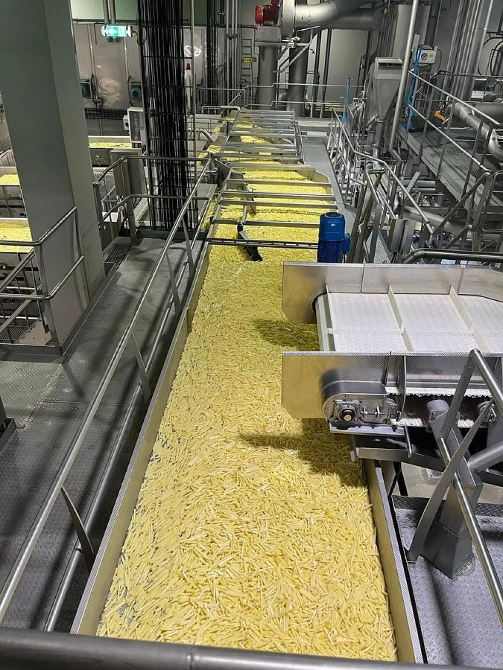 - Complete sorteerlijn voor productie van French Fries