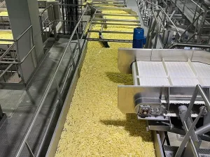 - Complete sorteerlijn voor productie van French Fries