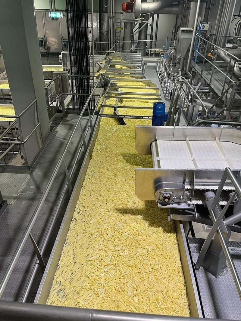 - Complete sorteerlijn voor productie van French Fries