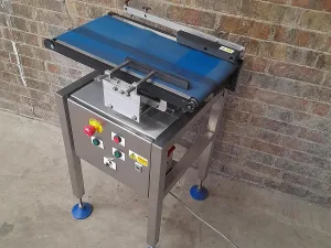 Used Easiweigh Straight Conveyor