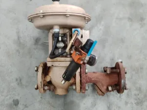 Steam valve