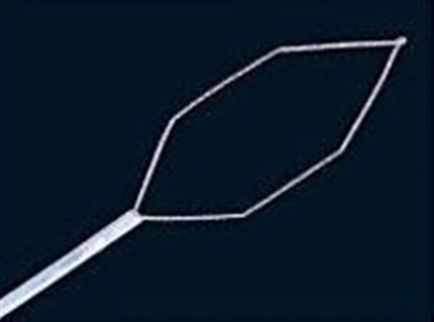 hex electrosurgical snare - 1800 X 2.4 MM - 1