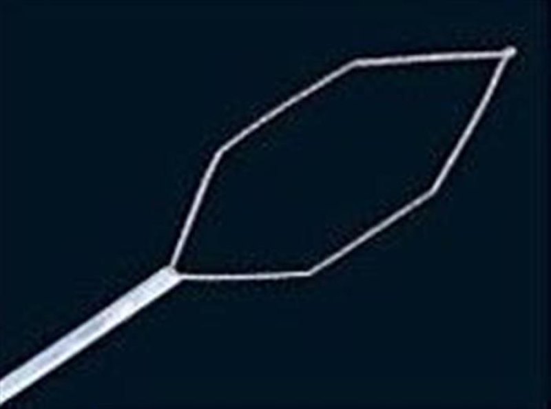 hex electrosurgical snare - 1800 X 2.4 MM