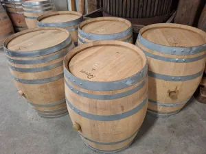 BARRELS LITERS 228, WHITE WINE OF FIRST-USE, SECOND-HAND EQUIPMENT