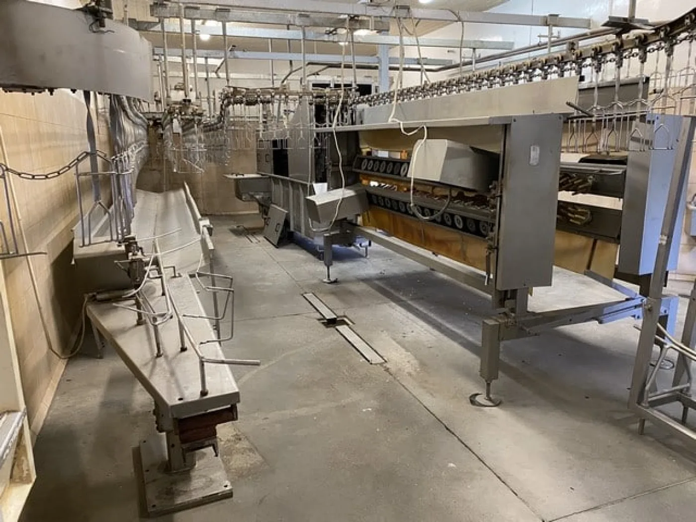 Poultry slaughter line, 2.000 bph - 8