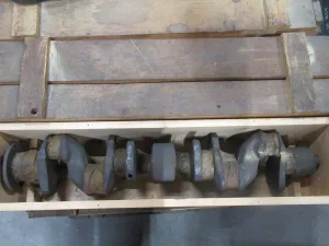 Krukas STD