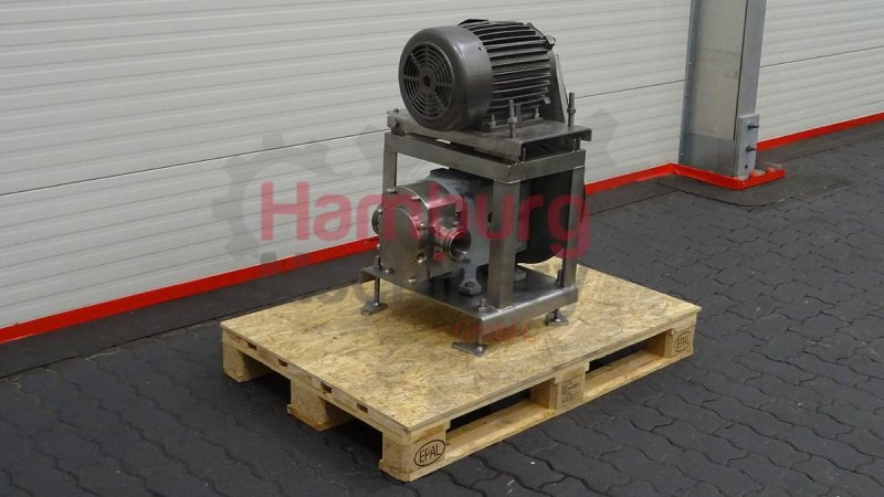Rotary positive displacement pump / Lobe pump - ITT Jabsco Pureflo Lobe 24250