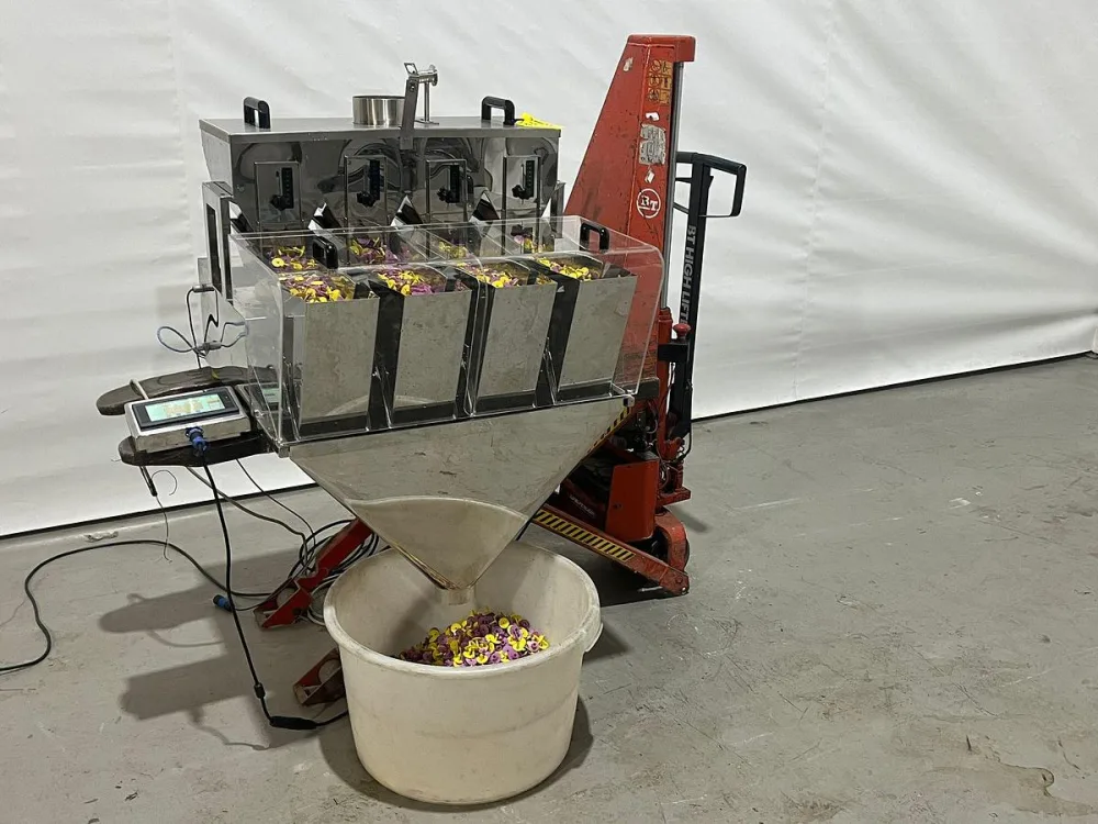 2021 LH Packaging Lineaire weger 4- kops
