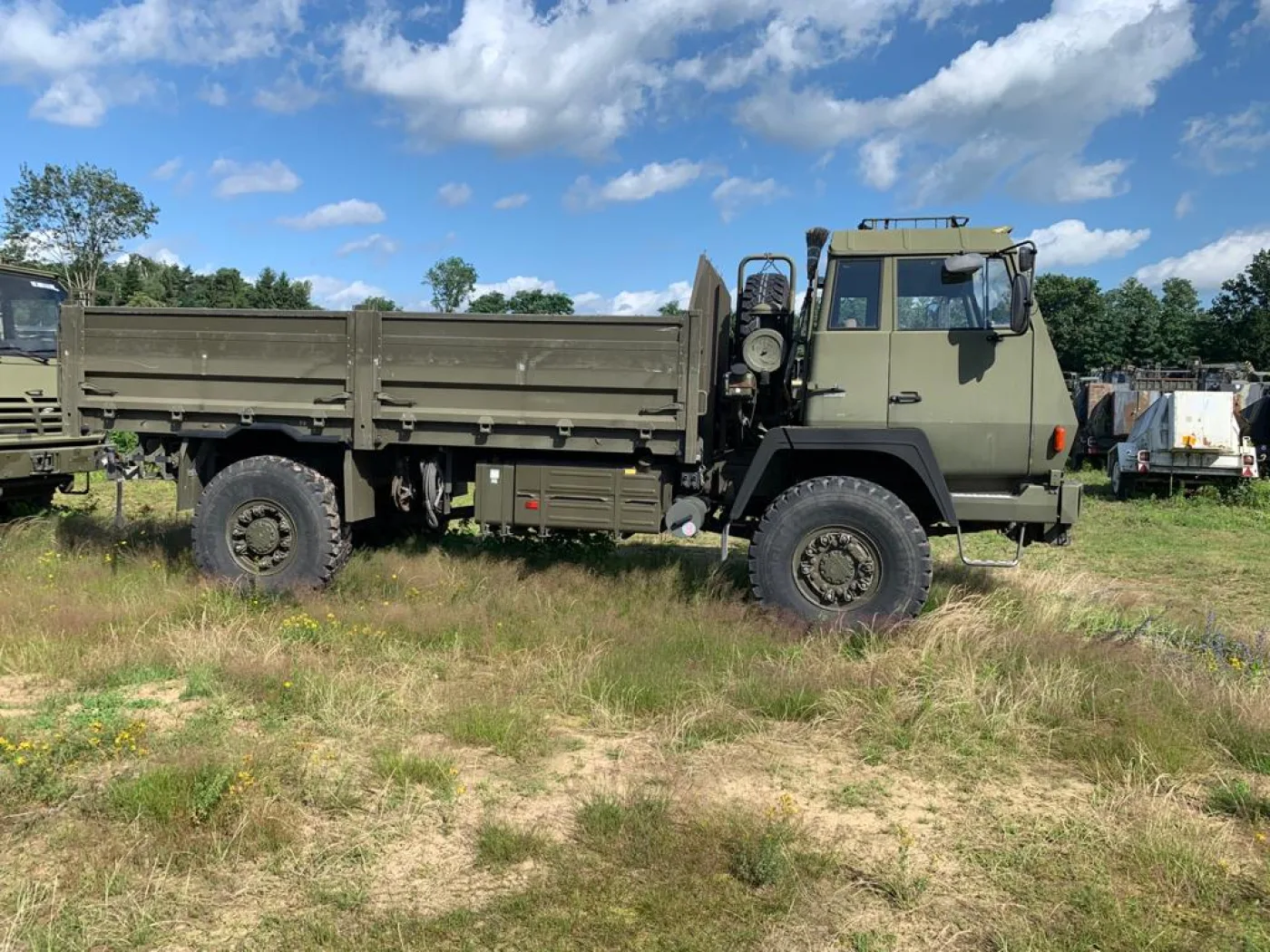 Steyr 1491.310/S37 4x4 Cargo - 4