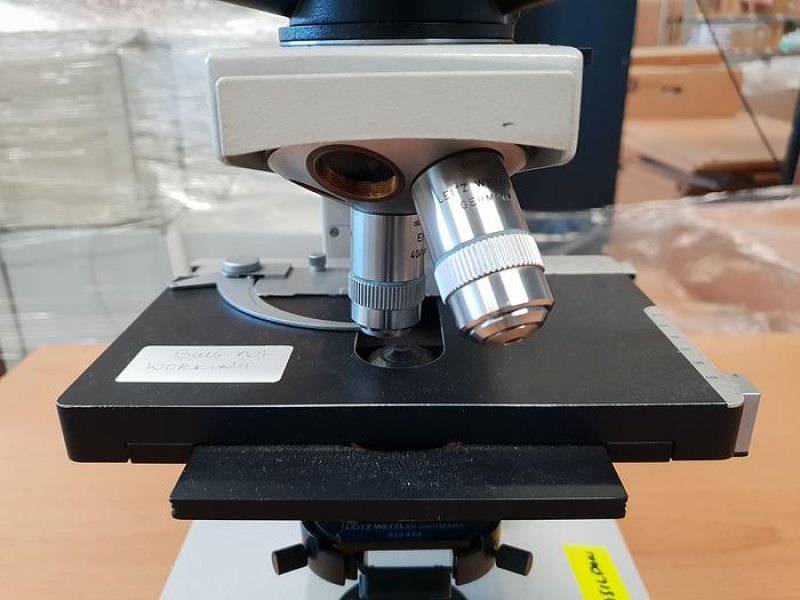Ernst Leitz Wetzlar 22EB Microscope