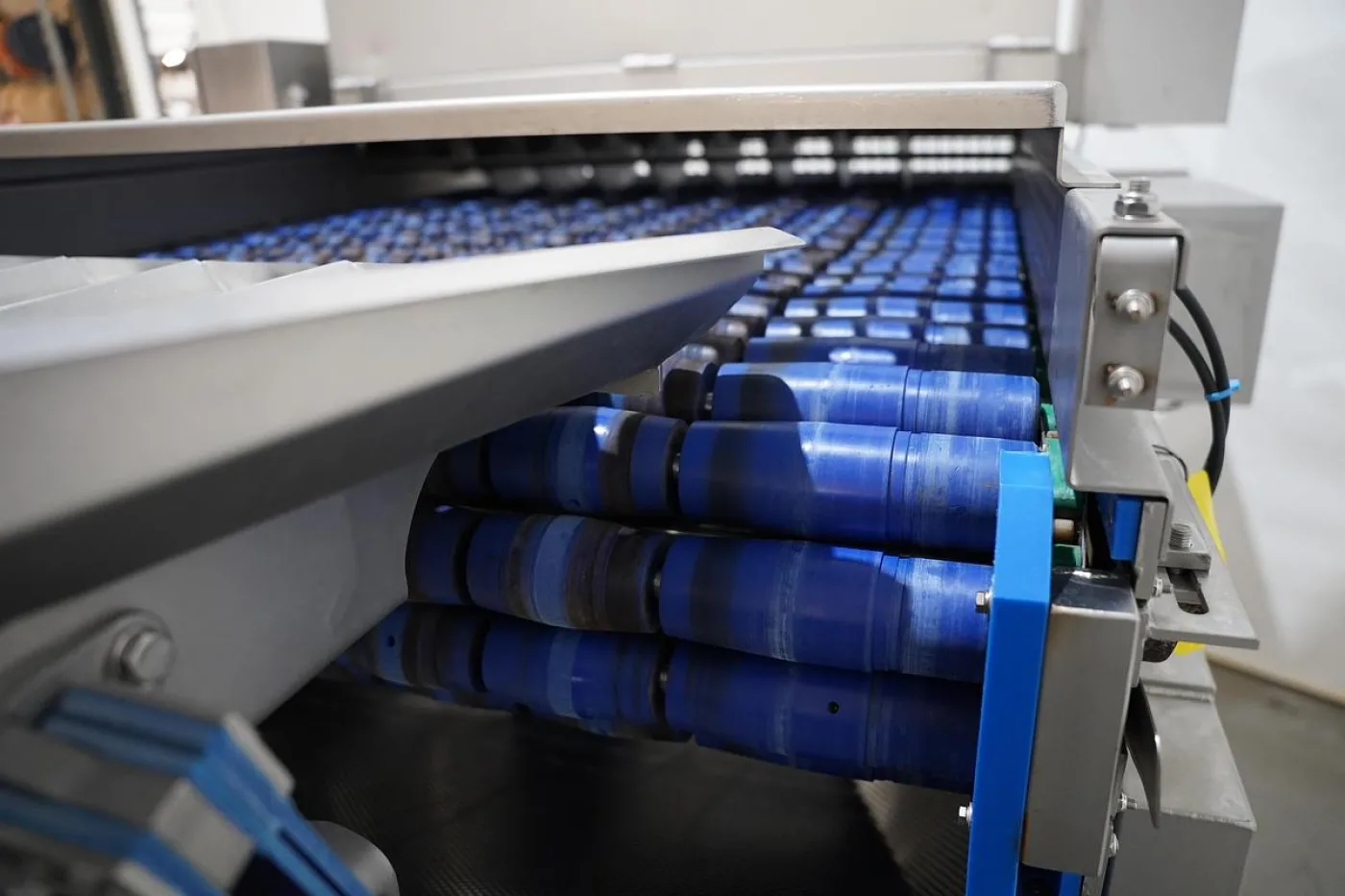 2019 Foodeq spreid triller en 2019 Marcelissen deler - 7