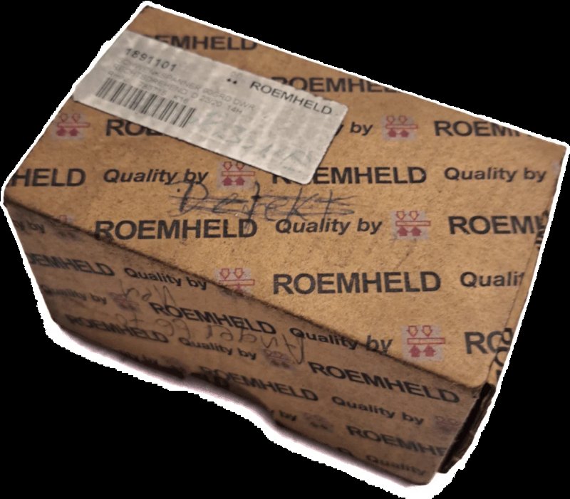 Roemheld Schwenkspanner mit Überlastsicherung 1891101