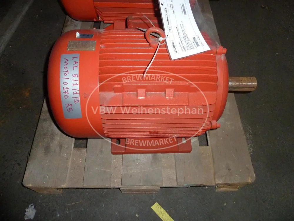 Electromotor