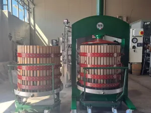 TEM HYDRAULIC PRESS, DIAMETER 80, TWO CAGES AND TWO TROLLEYS, SECOND HAND MACHINE