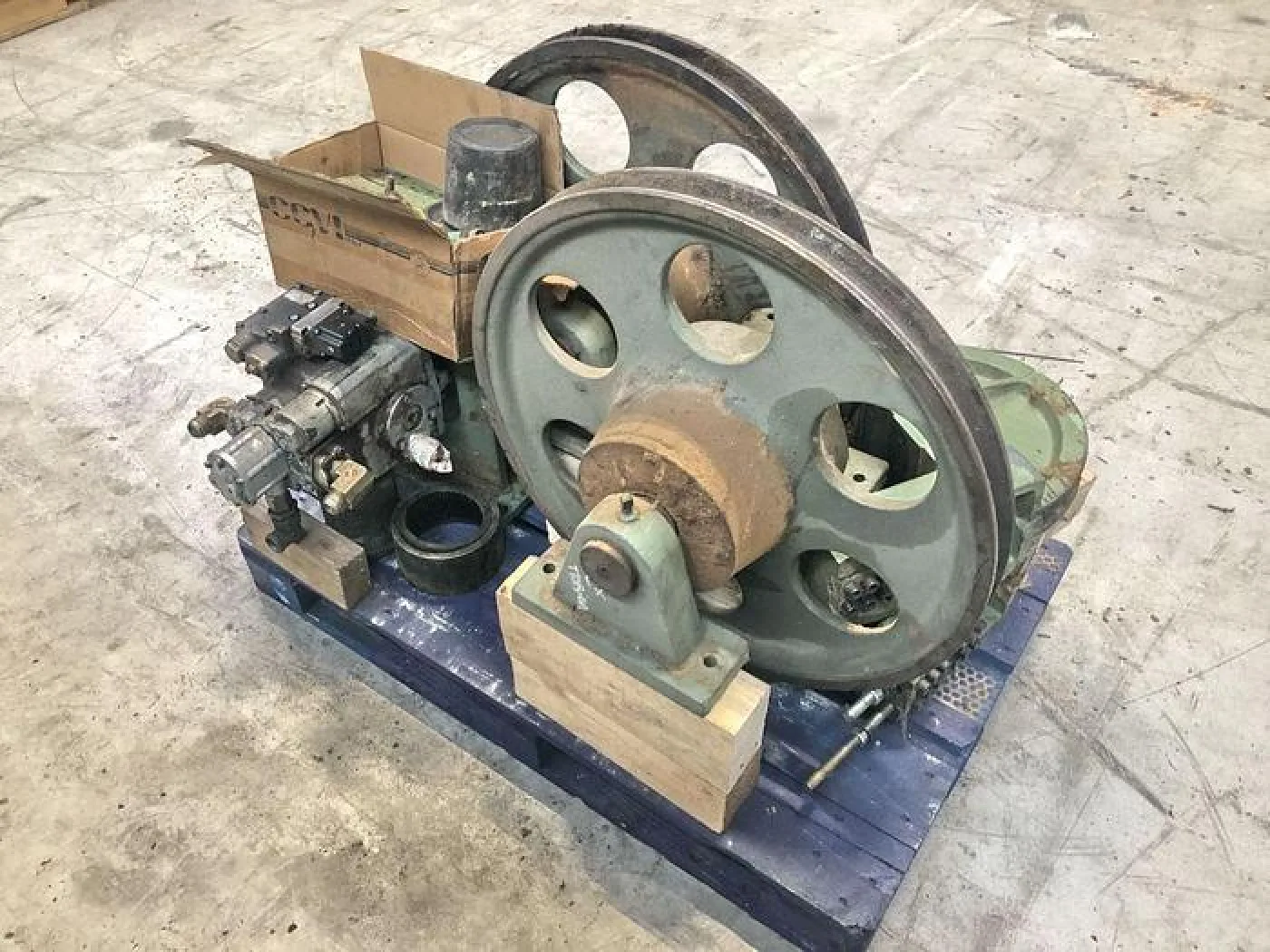 Primultini CFE - 6