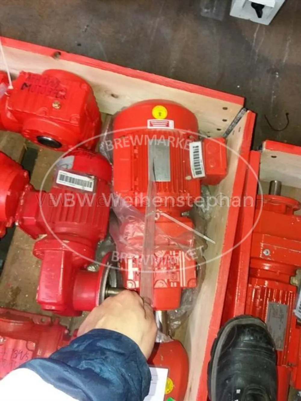 Gear motor