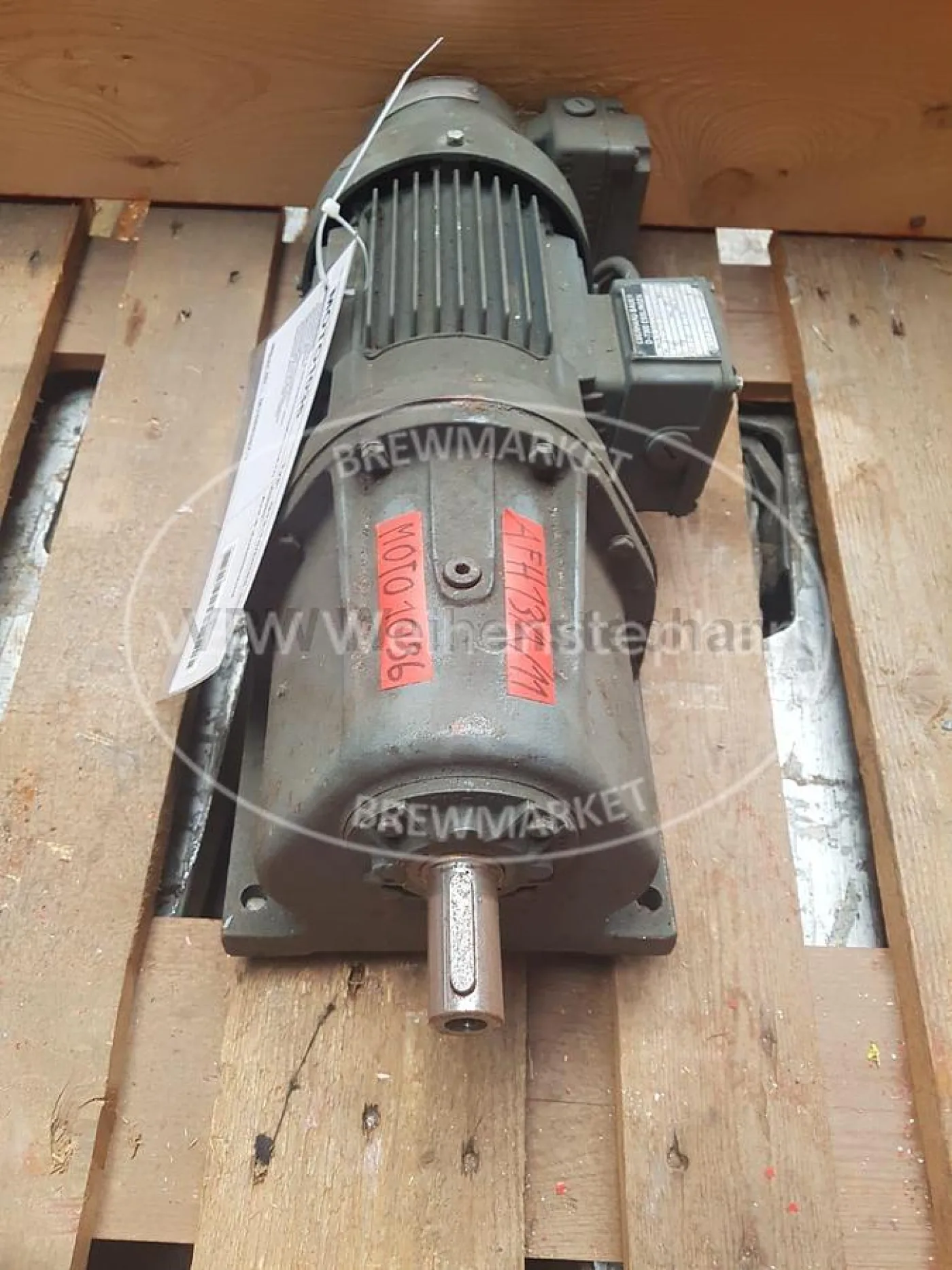 gear motor - 5