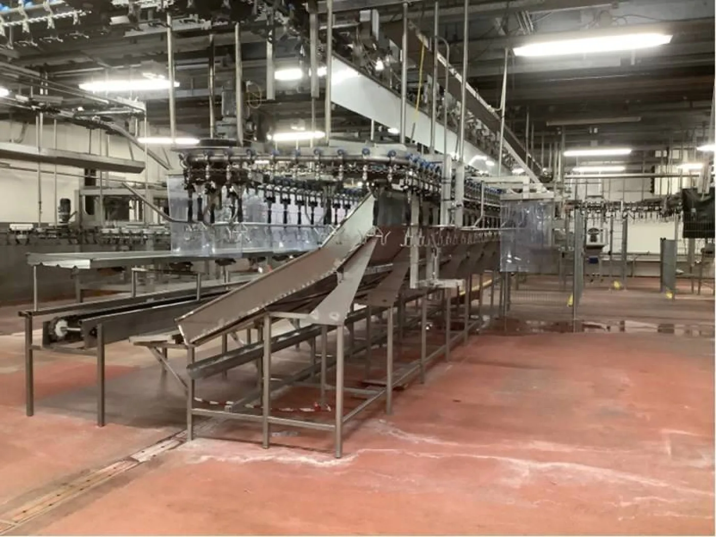 Poultry cut-up line - 1