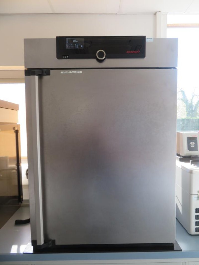 Memmert GmbH and Co. KG Memmert GmbH and Co. KG IN260 Laboratory Incubator- R and D