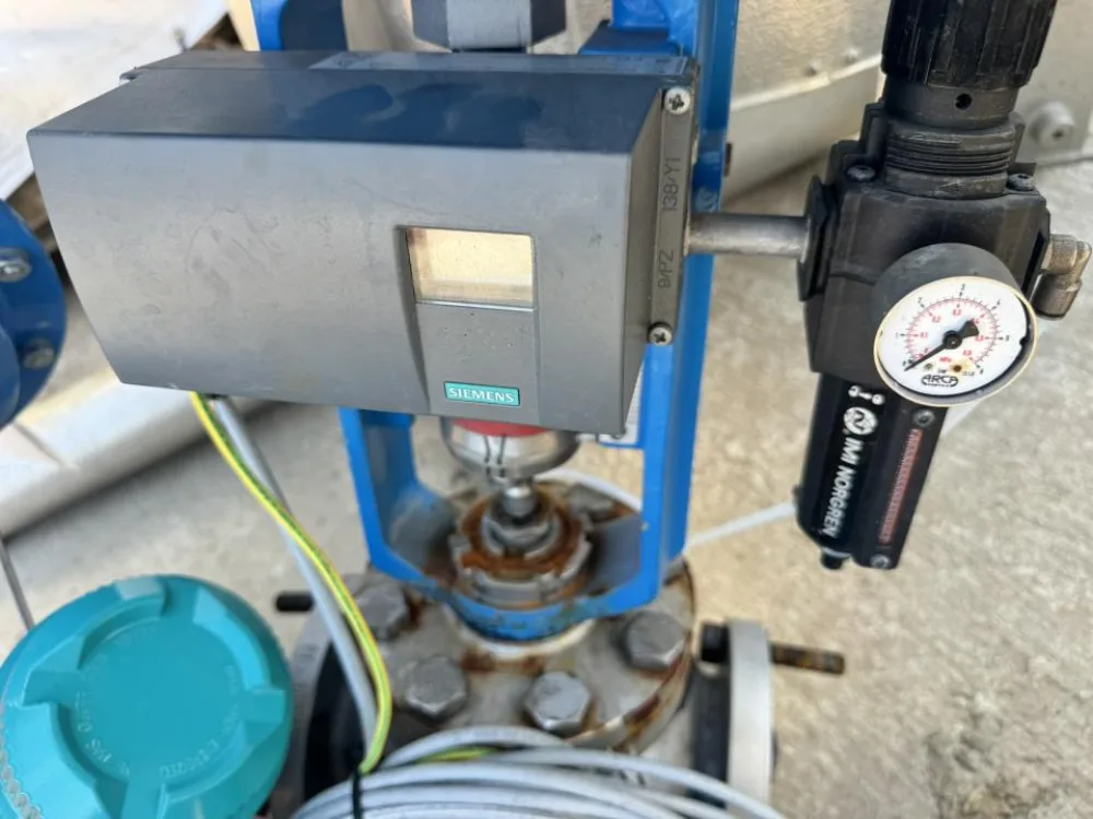 2019 ARCA Globe control valve assembly