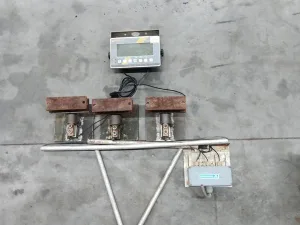 Scale