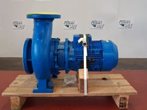 Allweiler Kreiselpumpe Typ: CNH-B 50-160/2-25/250 mit Siemens IE1 Motor