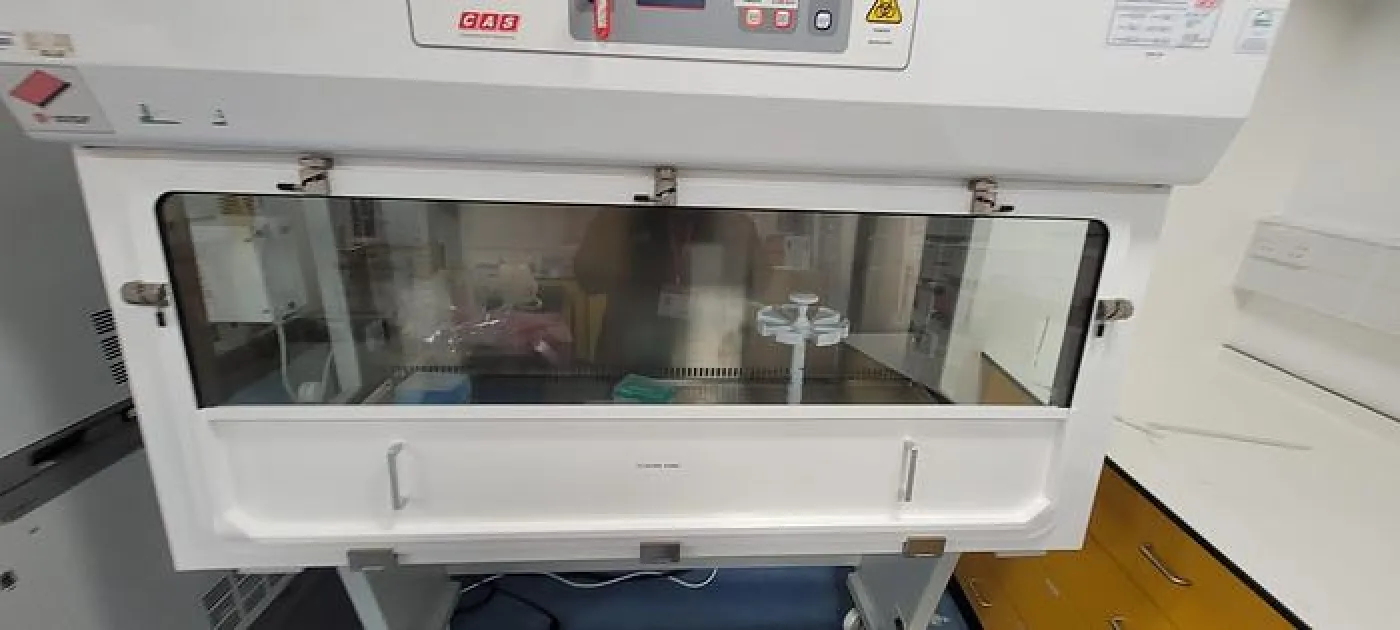 CAS BioMAT Class 2 Microbiological Safety Cabinets - 3