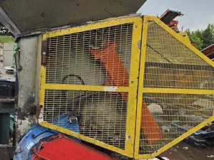 Lindner RS 1000 Single-Shaft Shredder