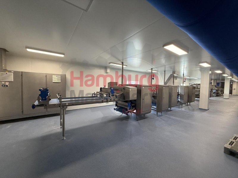 Dough processing / rollout line - Rademaker sheeting line with universal line
