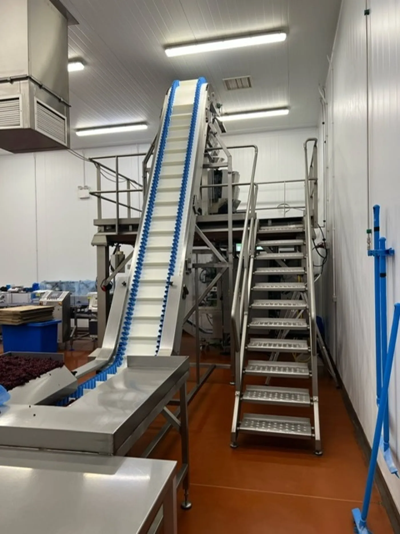 PFM Multihead Weigher and Bagging Line - 4