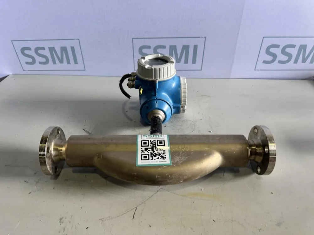 2021 Endress+Hauser Coriolis flow meter