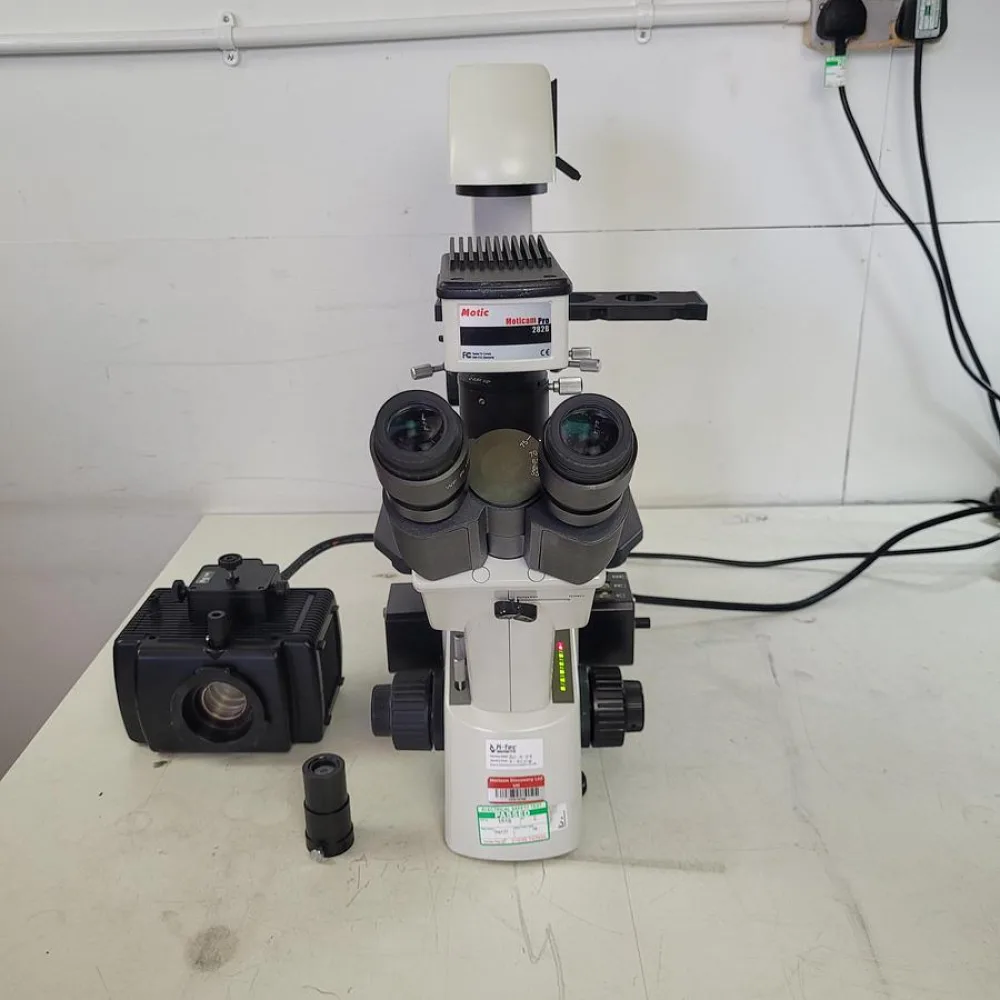 Motic AE31 Microscope