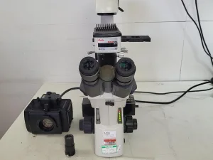 Motic AE31 Microscope