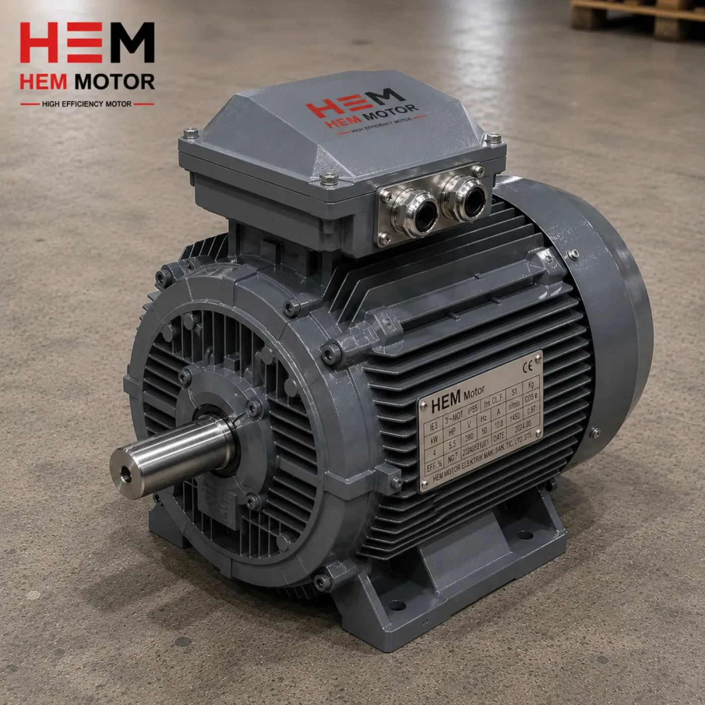 IE5 Electrical Engines - 1
