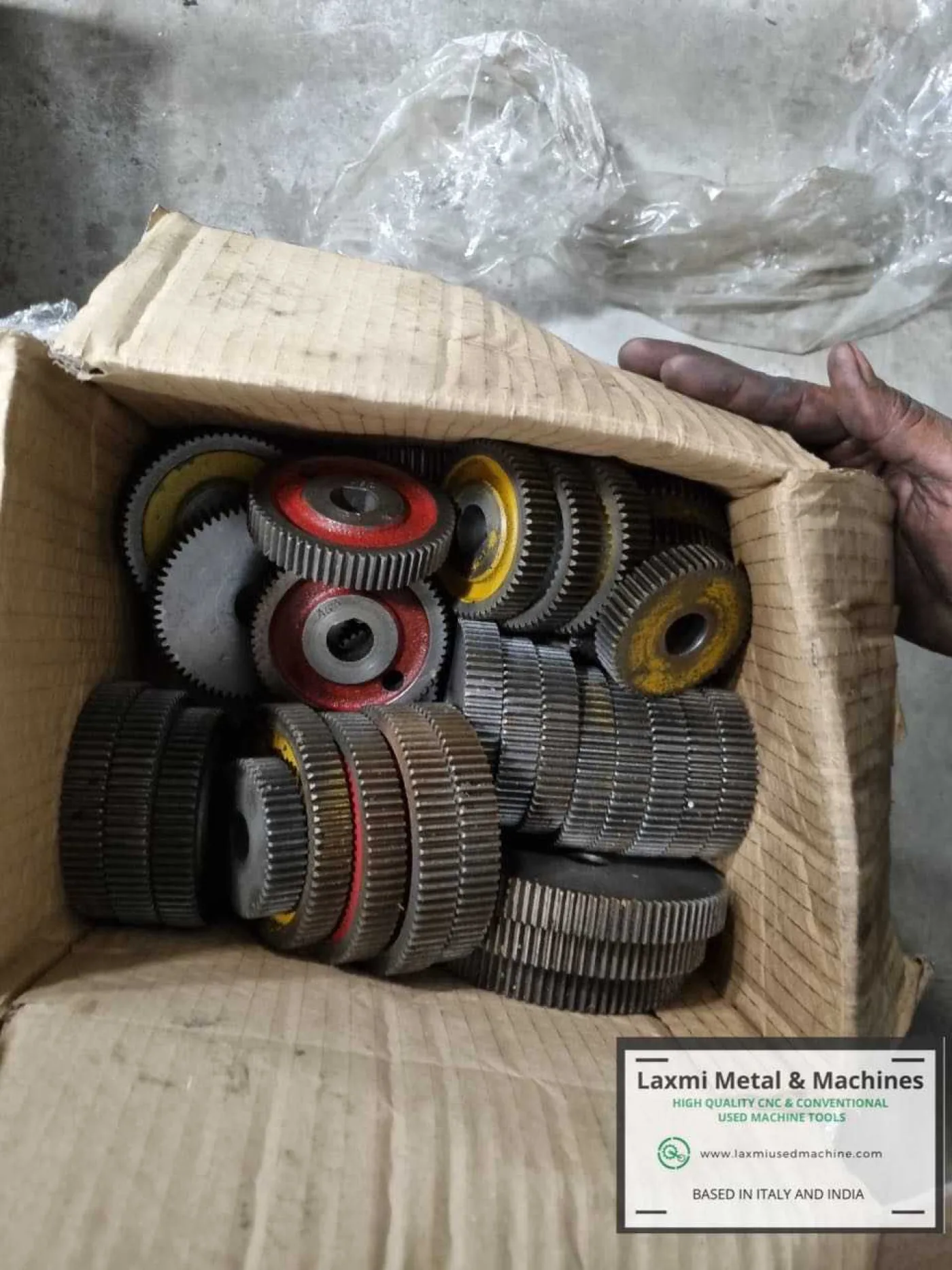 DENTI A CREMAGLIERA, CIMA - P3 CH - Laxmi Metal & Machines, Rohtak - 7