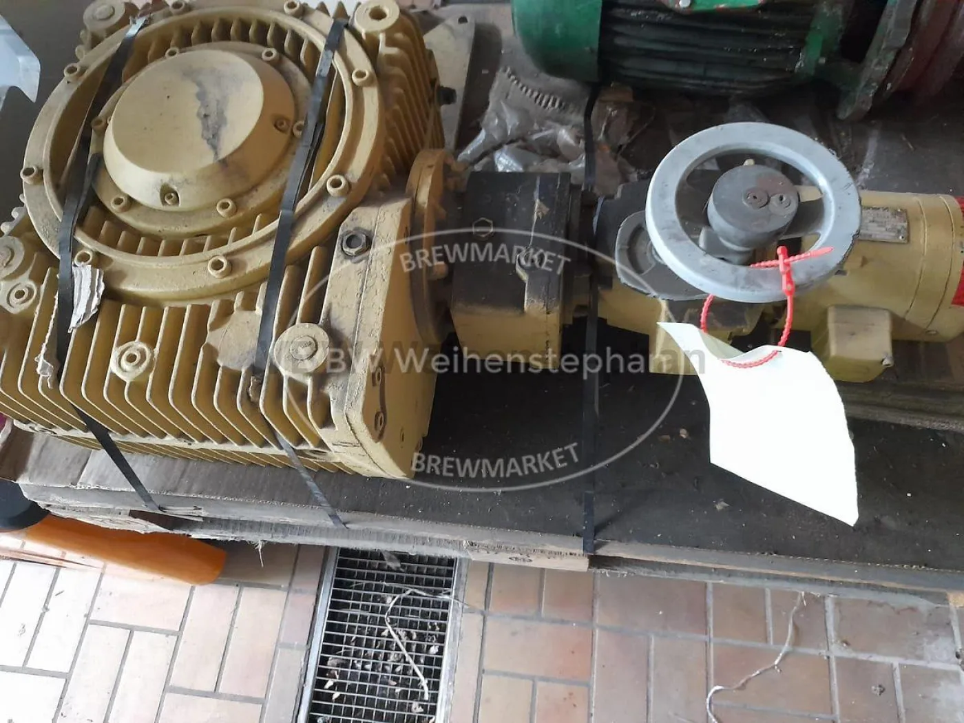 Gear motor - 1