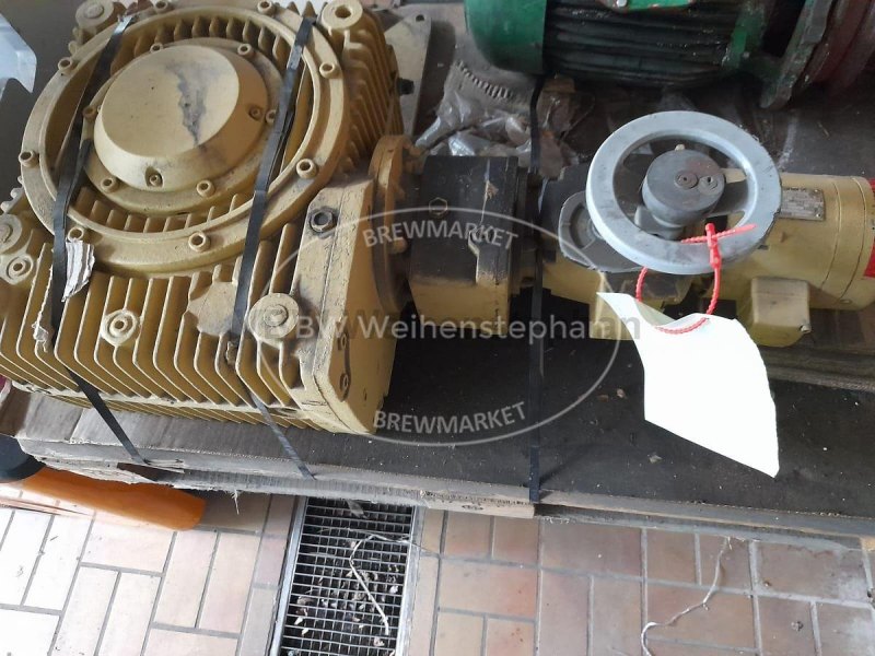 Gear motor