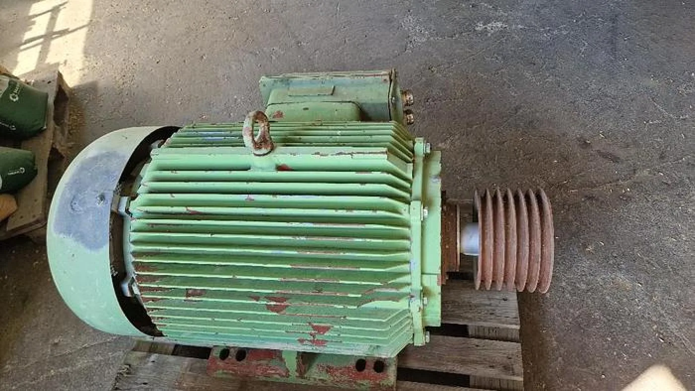 1993 Schorch Elektromotor - 1