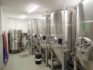 cylindroconical fermentation and storage tanks (CCT, 5 pcs.)