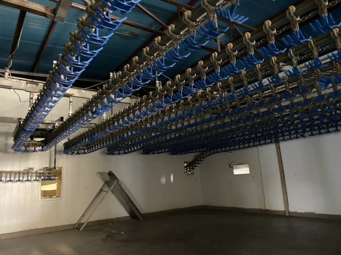 Poultry slaughter line, 2.000 bph - 1