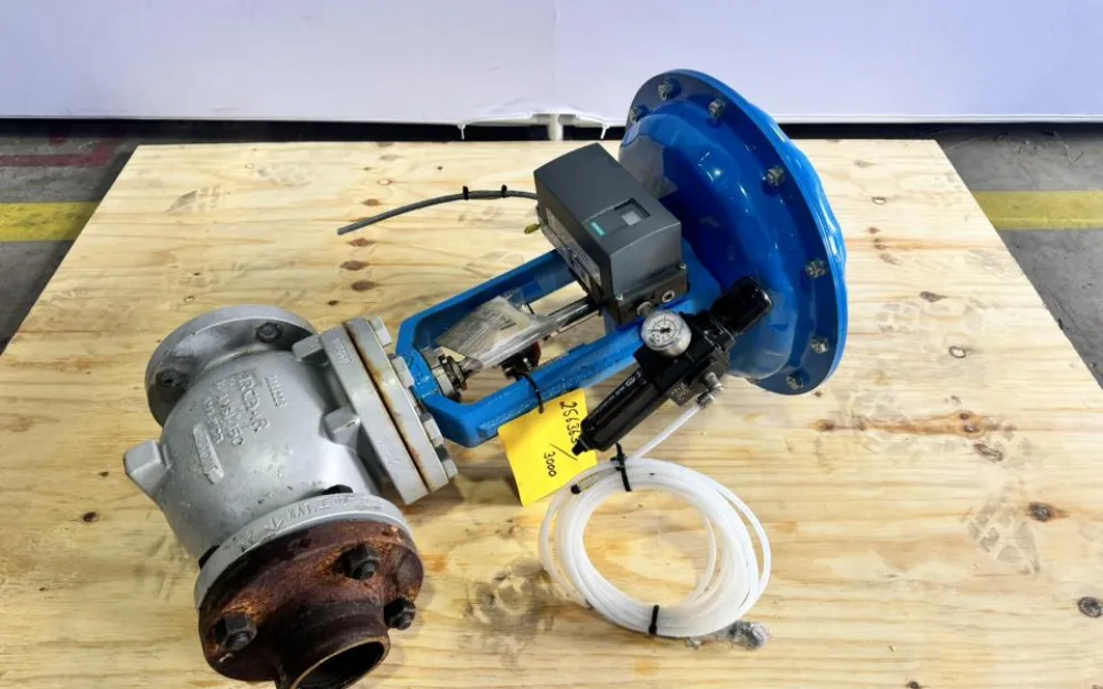 2019 ARCA Globe control valve with pneumatic diaphragm actuator