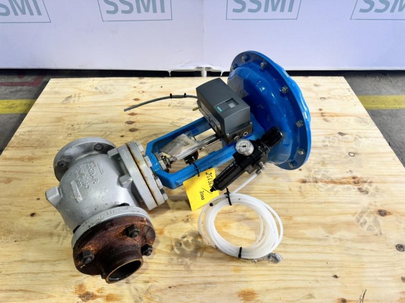 2019 ARCA Globe control valve with pneumatic diaphragm actuator
