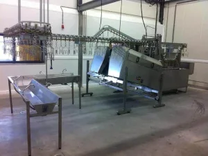 Poultry line conveyor, 180 bph