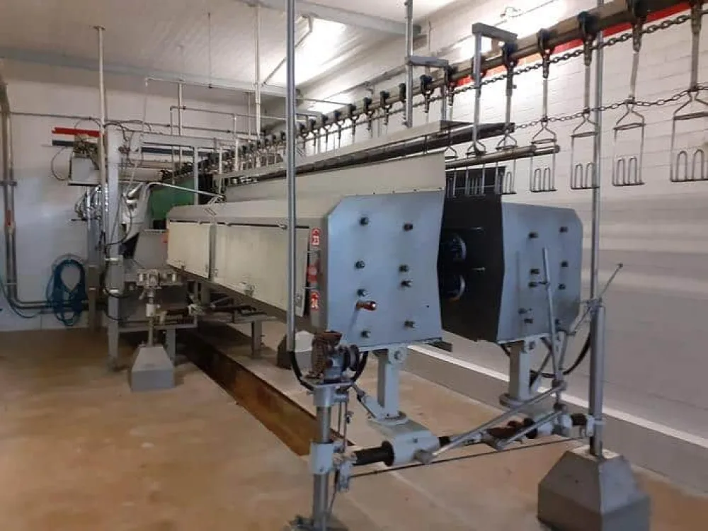 Poultry slaughter line, 3.000 bph