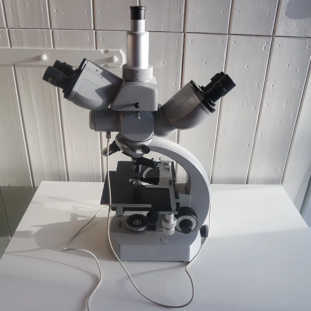 1140 - Used Carl Zeiss trinocular microscope 054850