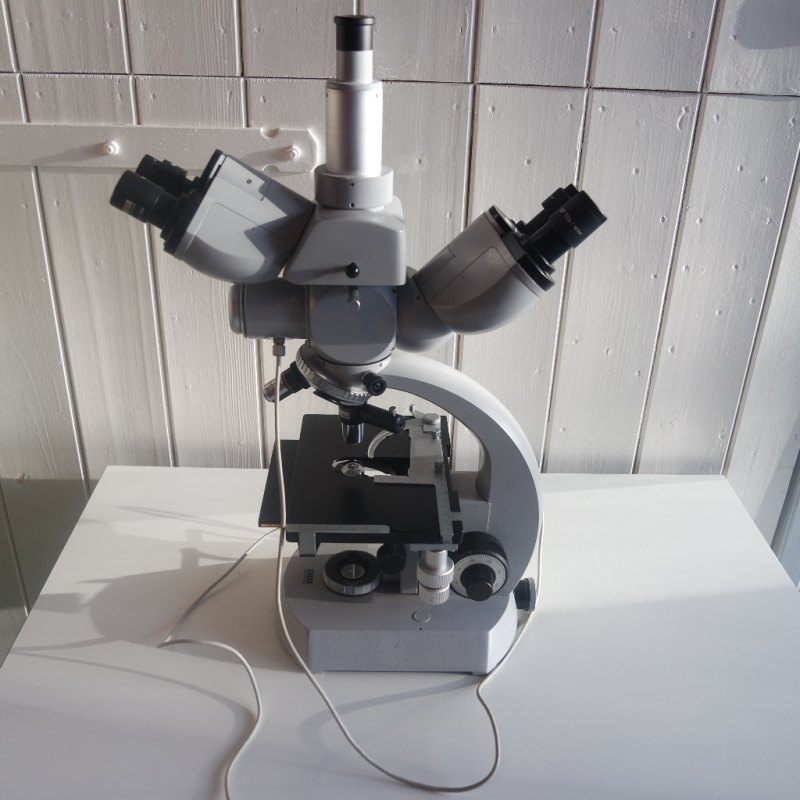 1140 - Used Carl Zeiss trinocular microscope 054850