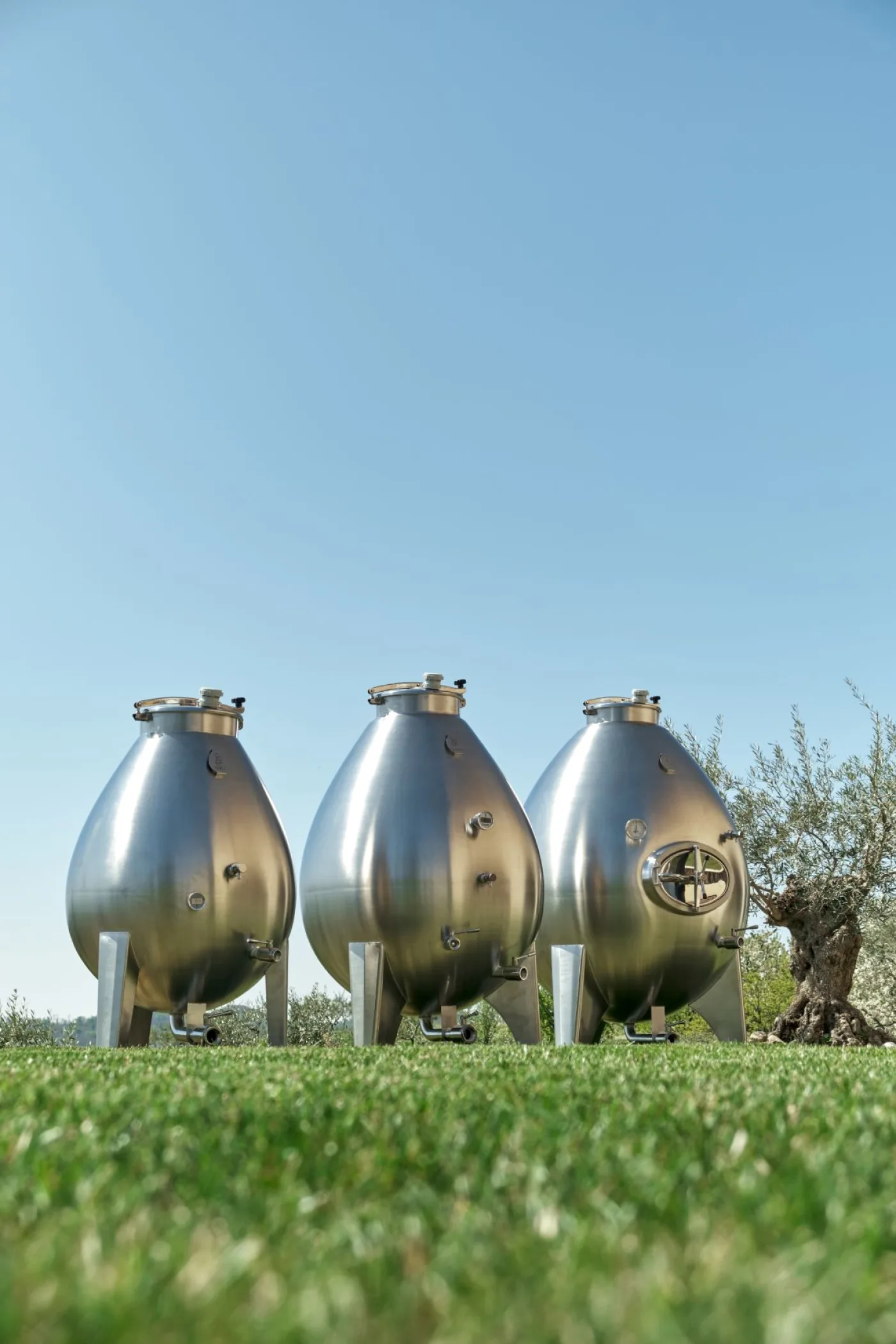 EGGINOX TANKS MADE OF STAINLESS STEEL, NEW EQUIPMENT - 1